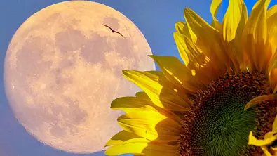 Ihr tägliches Mond-Mantra für die Woche vom 27. Mai bis 2. Juni 2024 - Foto: Abdulkadir ARSLAN / iStock