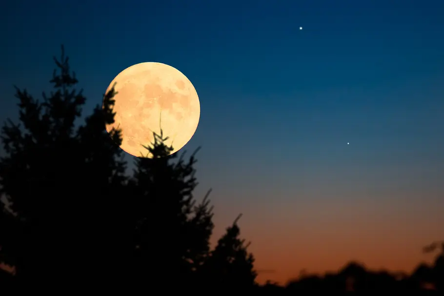 Ihr tägliches Mond-Mantra für die Woche vom 27. Januar bis 2. Februar Vollmond am sternklaren Himmel