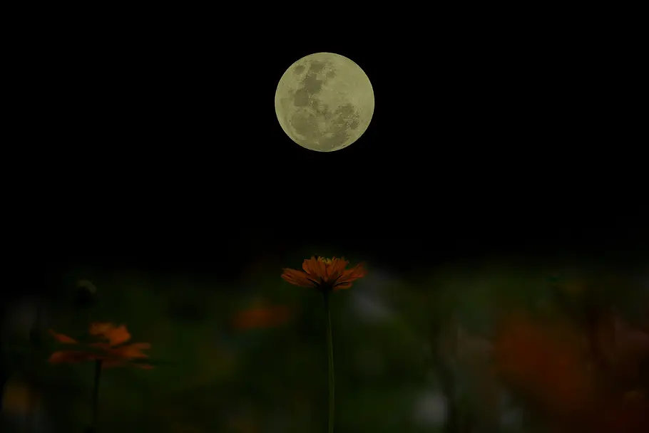 Ihr tägliches Mond-Mantra für die Woche vom 3. bis zum 9. Februar 2025 Mond-Mantra