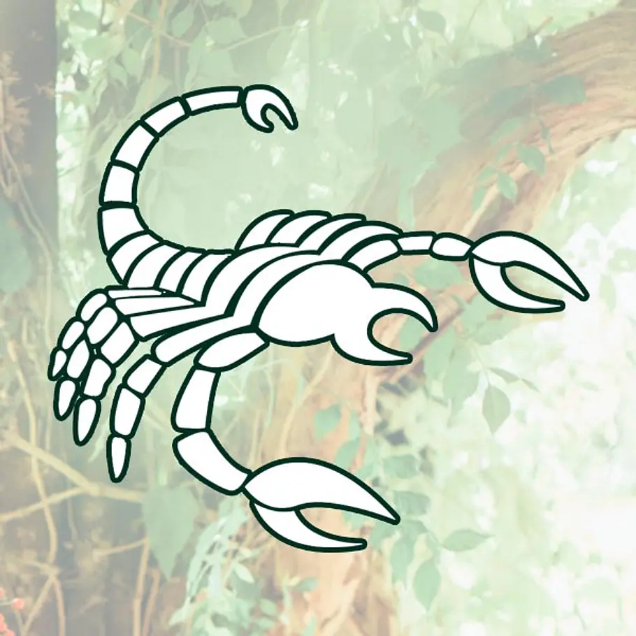 natur horoskop glueck skorpion