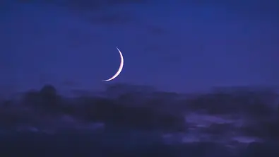 Neumond Mai 2021: Der Genuss des Schönen - Foto: IStock/Pavel Byrkin