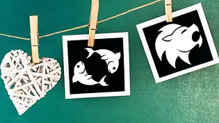 Wie gut passen Fische und Löwe zusammen? Das Partnerhoroskop verrät es... - Foto: Mehmet Hilmi Barcin &cidepix / iStock Wie gut passen Fische und Löwe zusammen? Das Partnerhoroskop verrät es... - Foto: Mehmet Hilmi Barcin &cidepix / iStock