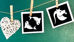 Das Partnerhoroskop verrät Ihnen mehr über Ihre Beziehung als Fisch und Steinbock - Foto: Mehmet Hilmi Barcin &cidepix / iStock Das Partnerhoroskop verrät Ihnen mehr über Ihre Beziehung als Fisch und Steinbock - Foto: Mehmet Hilmi Barcin &cidepix / iStock