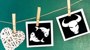 Das Partnerhoroskop verrät Ihnen, was Fische und Stier von dieser Beziehung erwarten können - Foto: Mehmet Hilmi Barcin &cidepix / iStock Das Partnerhoroskop verrät Ihnen, was Fische und Stier von dieser Beziehung erwarten können - Foto: Mehmet Hilmi Barcin &cidepix / iStock