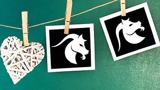 Wie gut passen Steinbock und Steinbock zusammen? Das Partnerhoroskop verrät es... - Foto: Mehmet Hilmi Barcin &cidepix / iStock Wie gut passen Steinbock und Steinbock zusammen? Das Partnerhoroskop verrät es... - Foto: Mehmet Hilmi Barcin &cidepix / iStock
