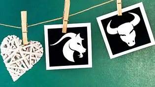 Wie gut passen Steinbock und Stier zusammen? Das Partnerhoroskop verrät es... - Foto: Mehmet Hilmi Barcin &cidepix / iStock Wie gut passen Steinbock und Stier zusammen? Das Partnerhoroskop verrät es... - Foto: Mehmet Hilmi Barcin &cidepix / iStock