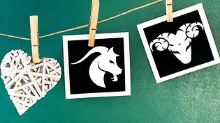 Wie gut passen Steinbock und Widder zusammen? Das Partnerhoroskop verrät es... - Foto: Mehmet Hilmi Barcin &cidepix / iStock Wie gut passen Steinbock und Widder zusammen? Das Partnerhoroskop verrät es... - Foto: Mehmet Hilmi Barcin &cidepix / iStock