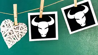 Lesen Sie im Partnerhoroskop, ob Stier und Stier zusammen passen - Foto: Mehmet Hilmi Barcin &cidepix / iStock Lesen Sie im Partnerhoroskop, ob Stier und Stier zusammen passen - Foto: Mehmet Hilmi Barcin &cidepix / iStock