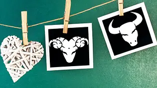 Wie gut passen Widder und Stier zusammen? Das Partnerhoroskop verrät es... - Foto: Mehmet Hilmi Barcin &cidepix / iStock Wie gut passen Widder und Stier zusammen? Das Partnerhoroskop verrät es... - Foto: Mehmet Hilmi Barcin &cidepix / iStock