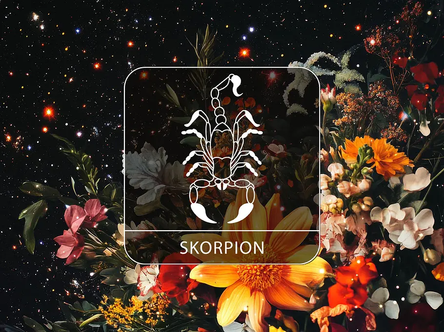Sternzeichen Skorpion vor einem Blumenstrauß im Sternenhimmel