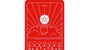Tarot: Ass der Münzen - Foto: Bauer Xcel