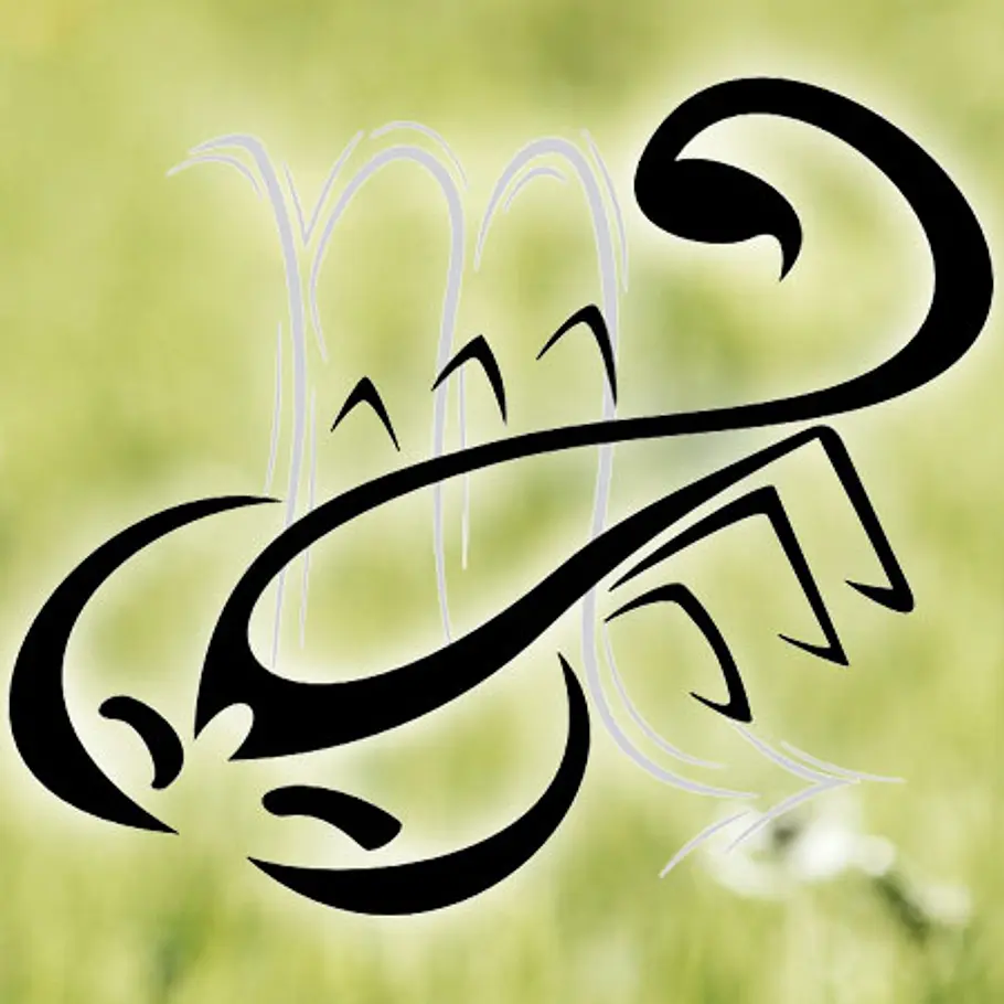 typologie fruehlingstyp neu skorpion