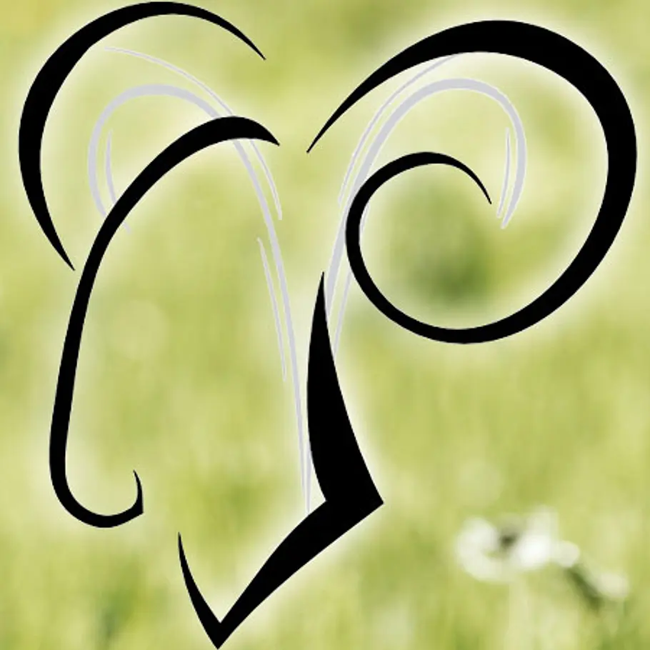 typologie fruehlingstyp neu widder