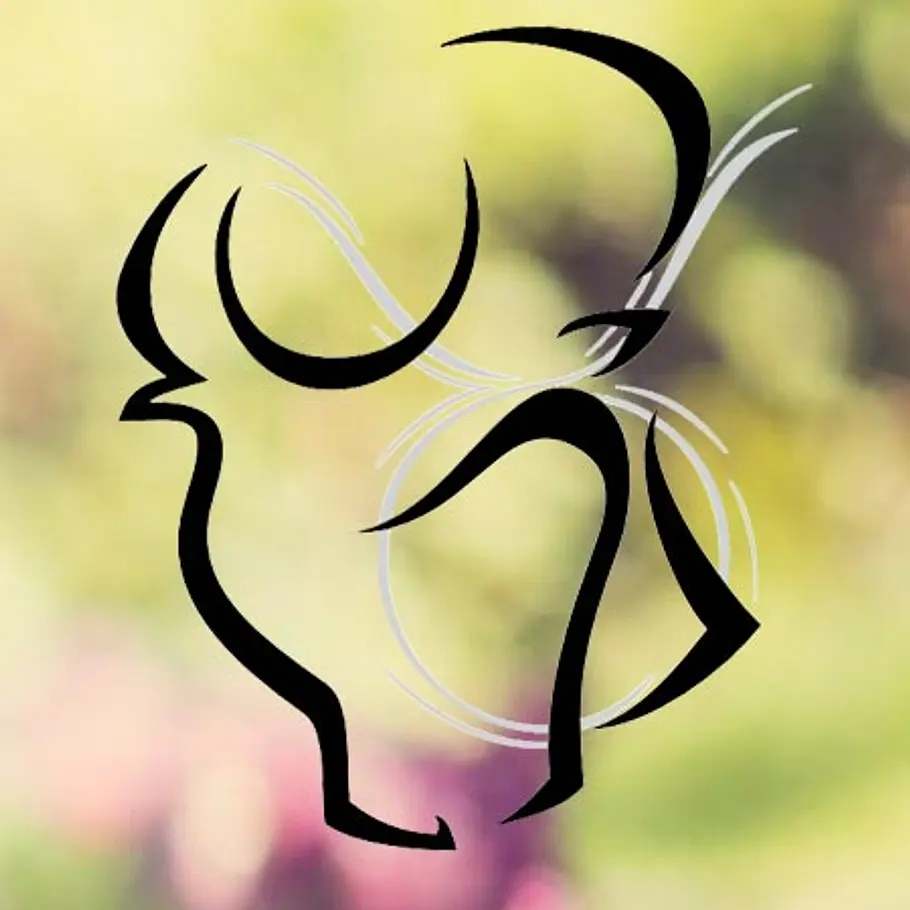 typologie natur stier