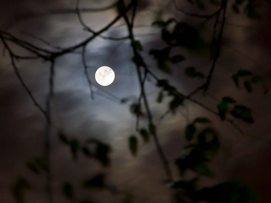 Vollmond bei Nacht