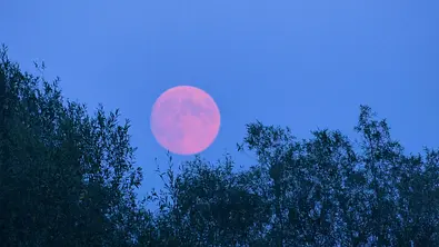 Vollmond im April 2022 - Foto: Flamell / iStock