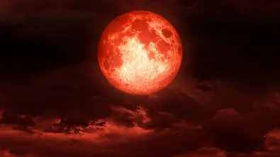 Ein rot leuchtender, großer Vollmond ist am Nachthimmel zu beobachten. - Foto: ruashuka/iStock Ein rot leuchtender, großer Vollmond ist am Nachthimmel zu beobachten. - Foto: ruashuka/iStock