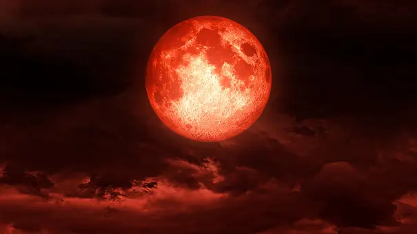 Ein rot leuchtender, großer Vollmond ist am Nachthimmel zu beobachten. - Foto: ruashuka/iStock Ein rot leuchtender, großer Vollmond ist am Nachthimmel zu beobachten. - Foto: ruashuka/iStock