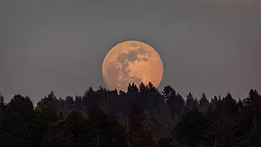 Vollmond im Juli 2023 - Foto: ackyard-Photography/iStock Vollmond im Juli 2023 - Foto: ackyard-Photography/iStock