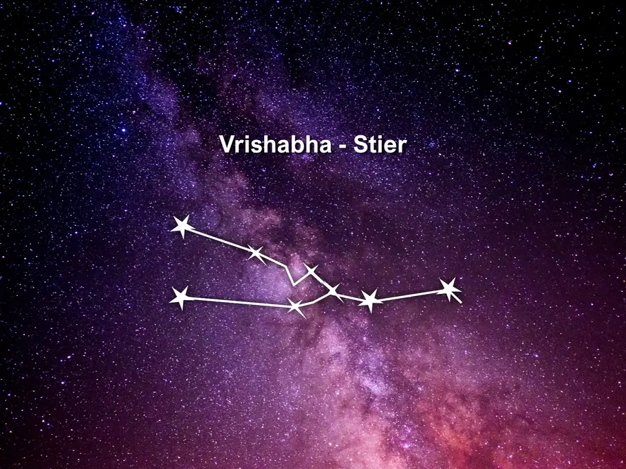 Das Sternbild Stier ist mit weißen Sternen und Linien vor violettem Sternenhimmel dargestellt. Darüber steht „Vrishabha - Stier“.