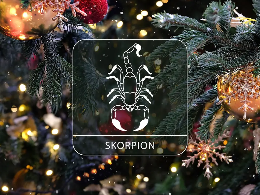 Sternzeichen Skorpion vor einem Weihnachtsbaum