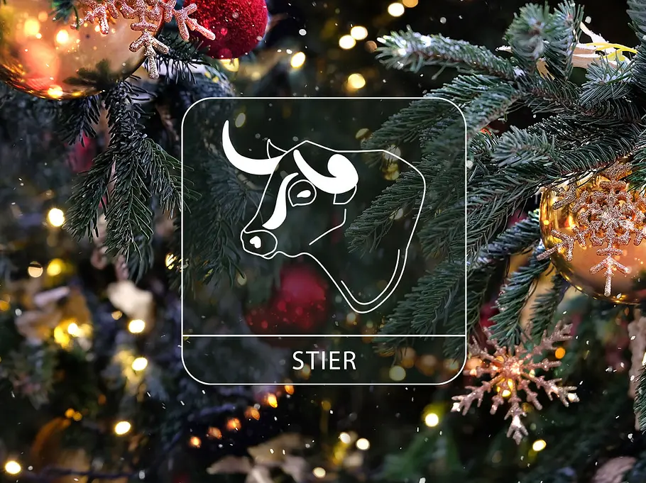 Sternzeichen Stier vor einem Weihnachtsbaum