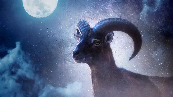 Widder und Vollmond - Foto: ysbrandcosijn/iStock